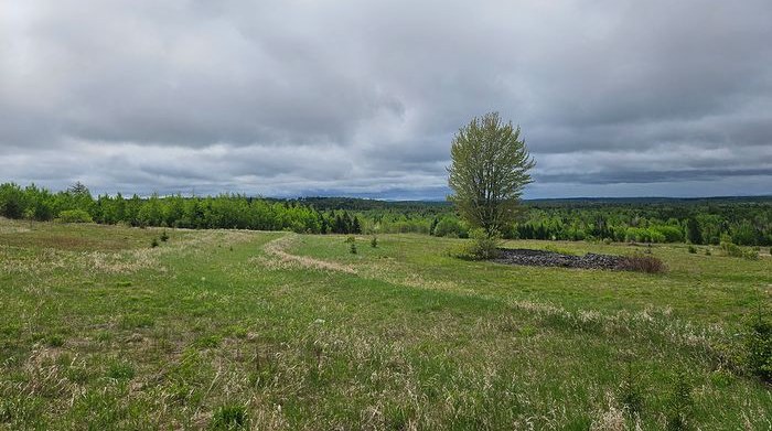 98.1 Acres Castle Hill Views, Fields, Timber & Direct Trail Access Hun