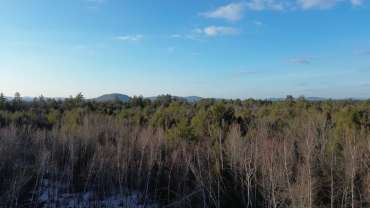 78.5± Acres With Mountain Views, Stream, And Trail Access