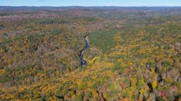 Hull Kingsley Woodlot