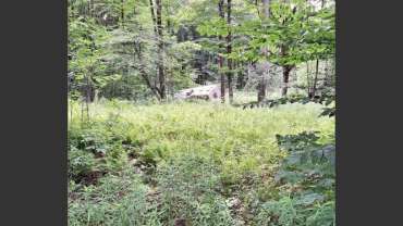 Cassio Rd, Redfield, NY 13493