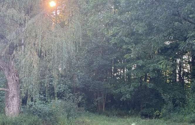 Centerline Rd, South Wales, NY 14139
