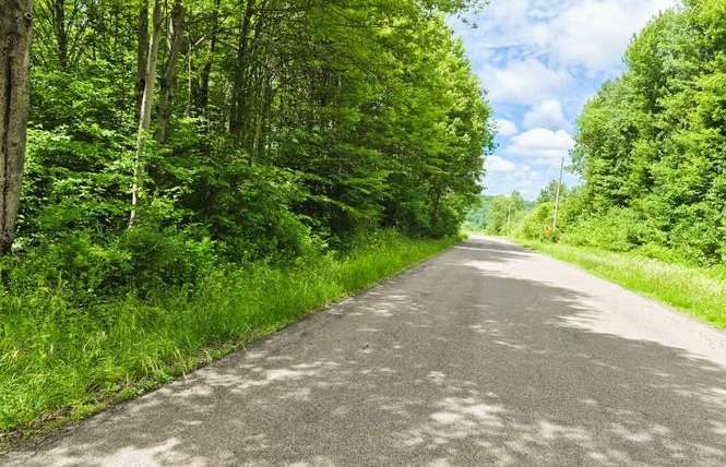 6024 Mcfarlane Rd, Cincinnatus, NY 13040